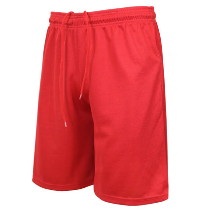 Men's 5-Pack Lightweight Breathable Moisture Wicking Mesh Shorts